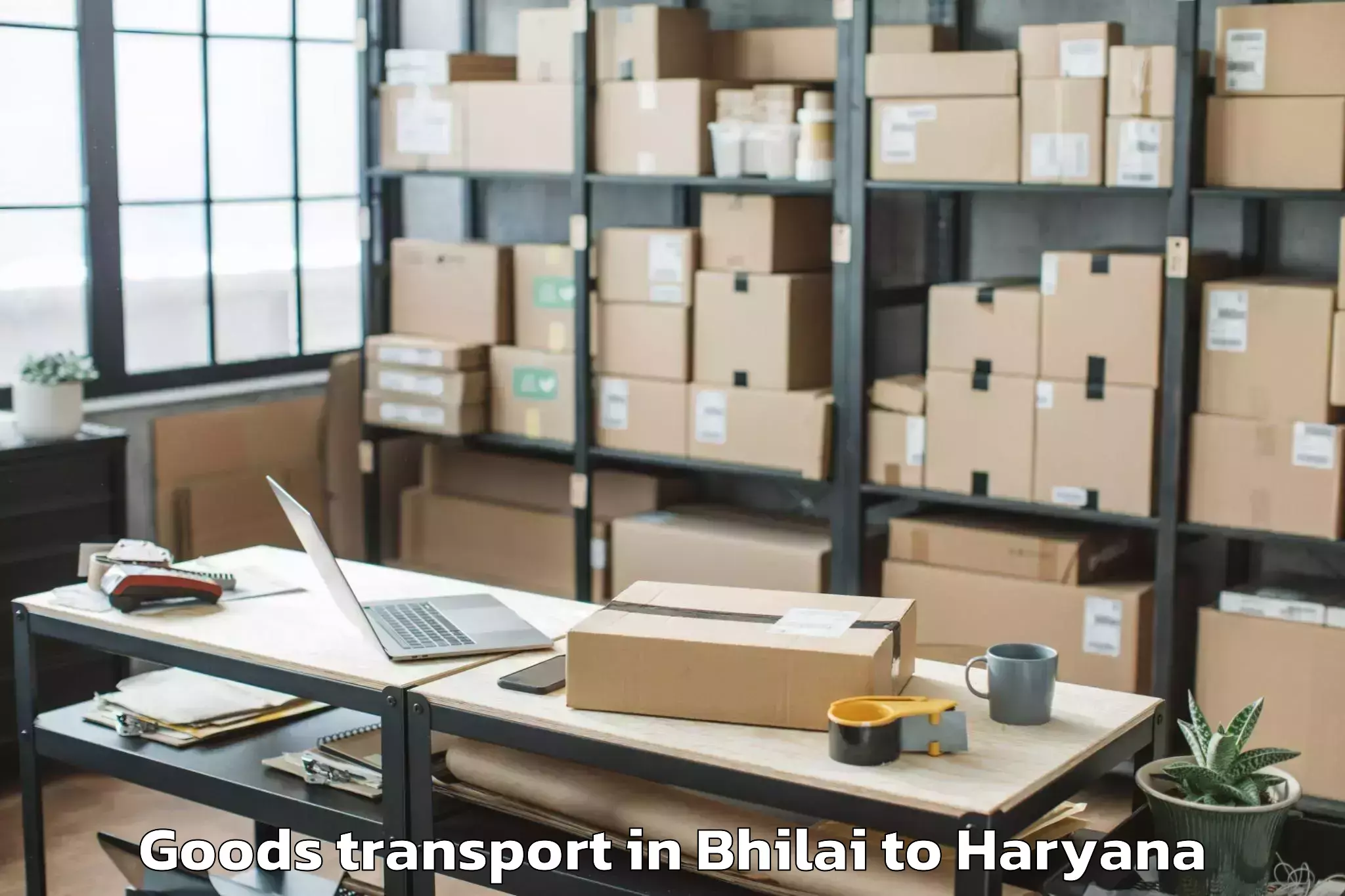 Discover Bhilai to Kharkhoda Goods Transport